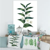 Art DesignArt винтидж растение с малки бели цветя селскостопанско платно от печат на стена.