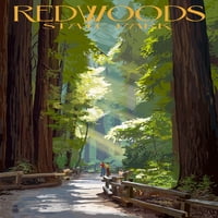 Redwoods Park, Калифорния, Пътят в дърветата