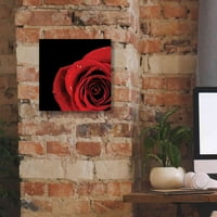 Epic Graffiti 'Pop of Red Rose' от Donnie Quillen, Giclee Canvas Wall Art, 12 x12